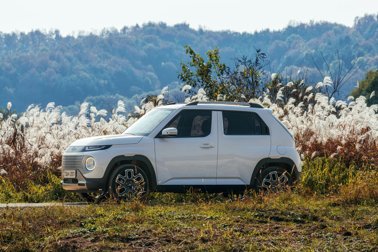 Cupra Formentor – dynamiczny SUV o sportowej duszy